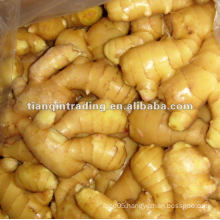 2012 fresh ginger for best selling